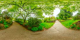 NorthAmerica1-QueenElizabethPark-12